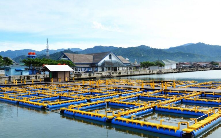 Kematian massal ikan KJA Jatiluhur Purwakarta meluas: dipicu fenomena upwelling, oksigen drop