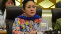 Pemerintah Harus Cermat dalam Impor Daging Jelang Ramadan