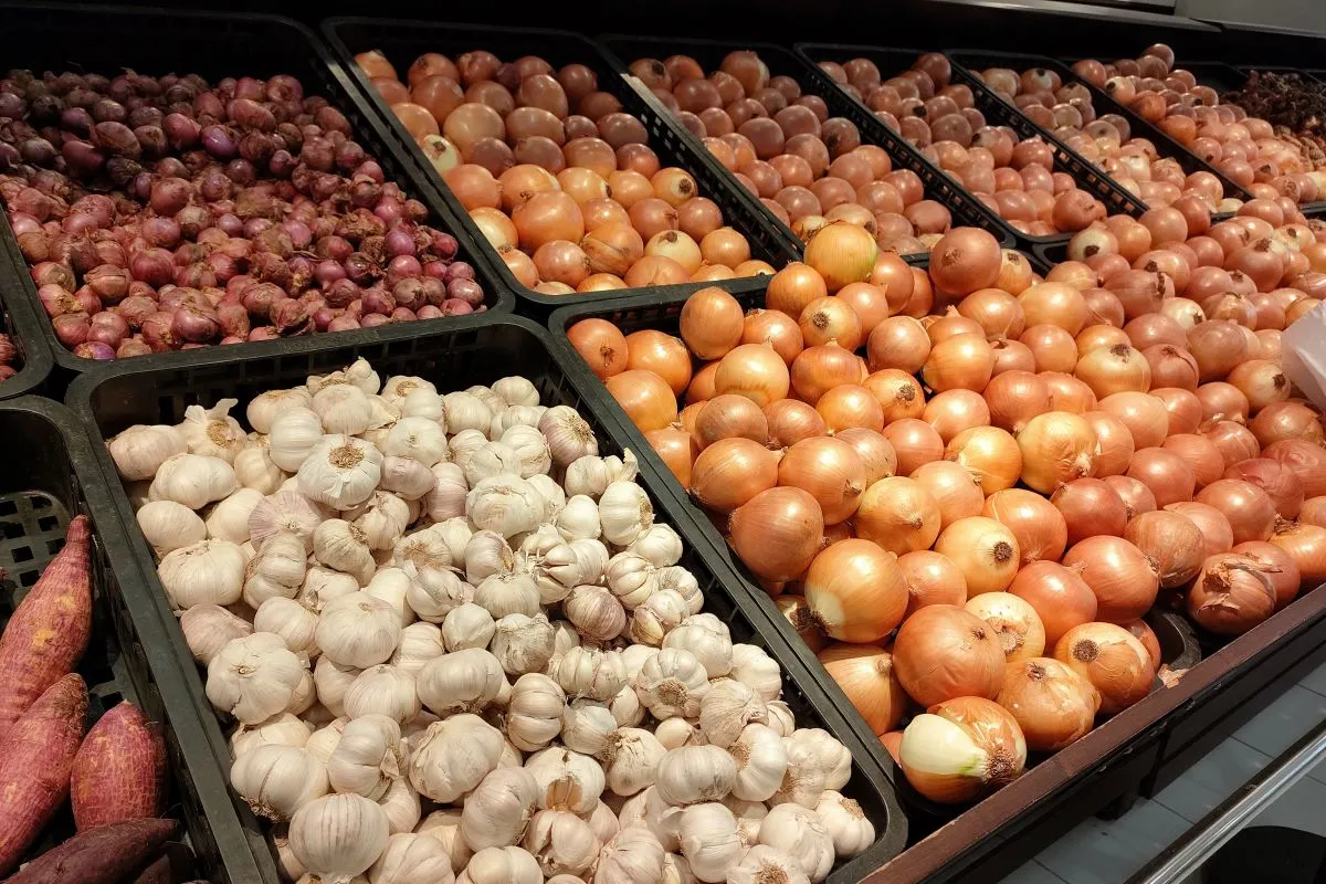 Inilah Jenis makanan yang bantu kesehatan usus saat mengonsumsi antibiotik