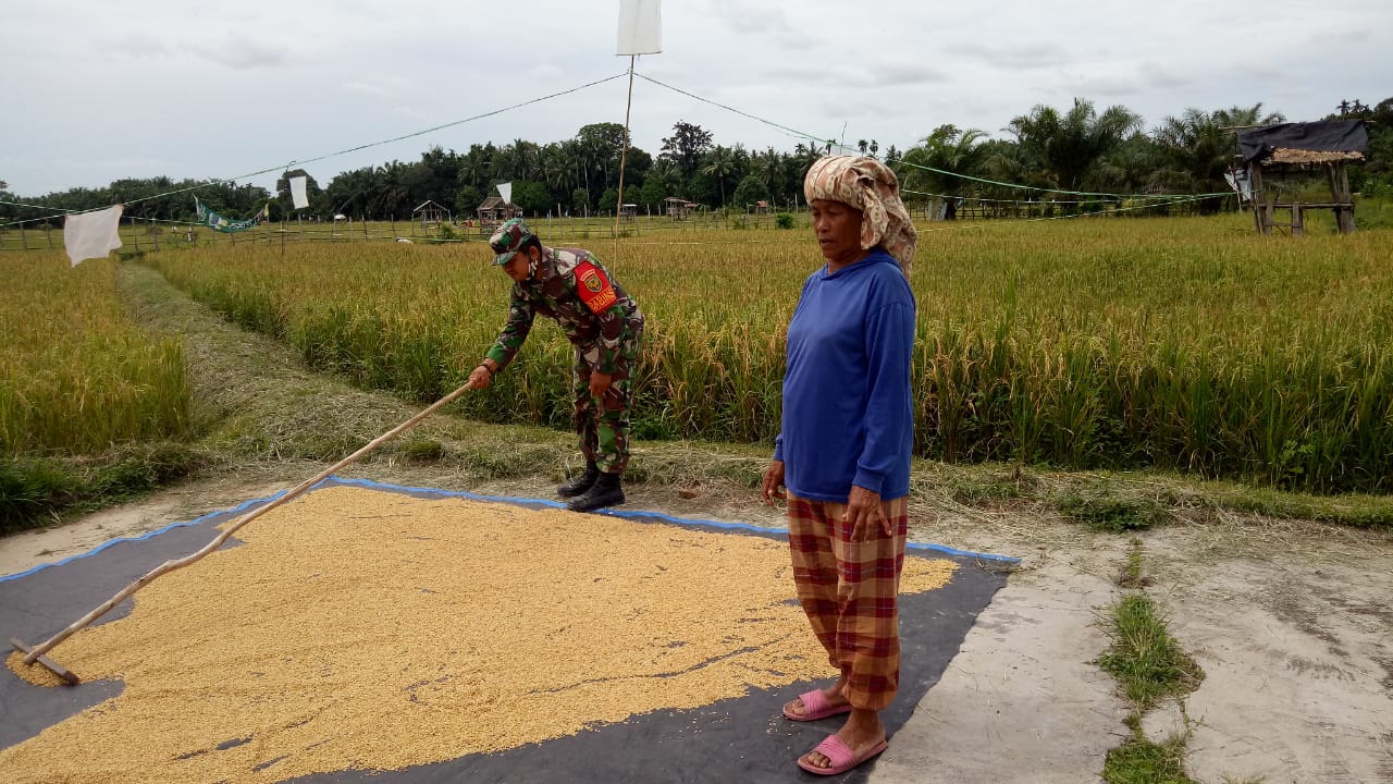 Wamentan minta Bulog beli gabah kering dan jagung sesuai HPP