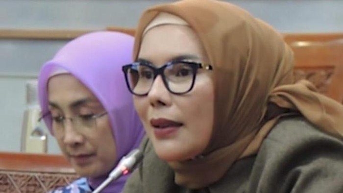 Anggota Komisi I DPR Komentari Viralnya di Medsos Hashtag #KaburAjaDulu: Hak Anak Muda Cari Peluang