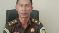 Kasus 400 Anakan Pisang Cavendis Dinyatakan Lengkap
