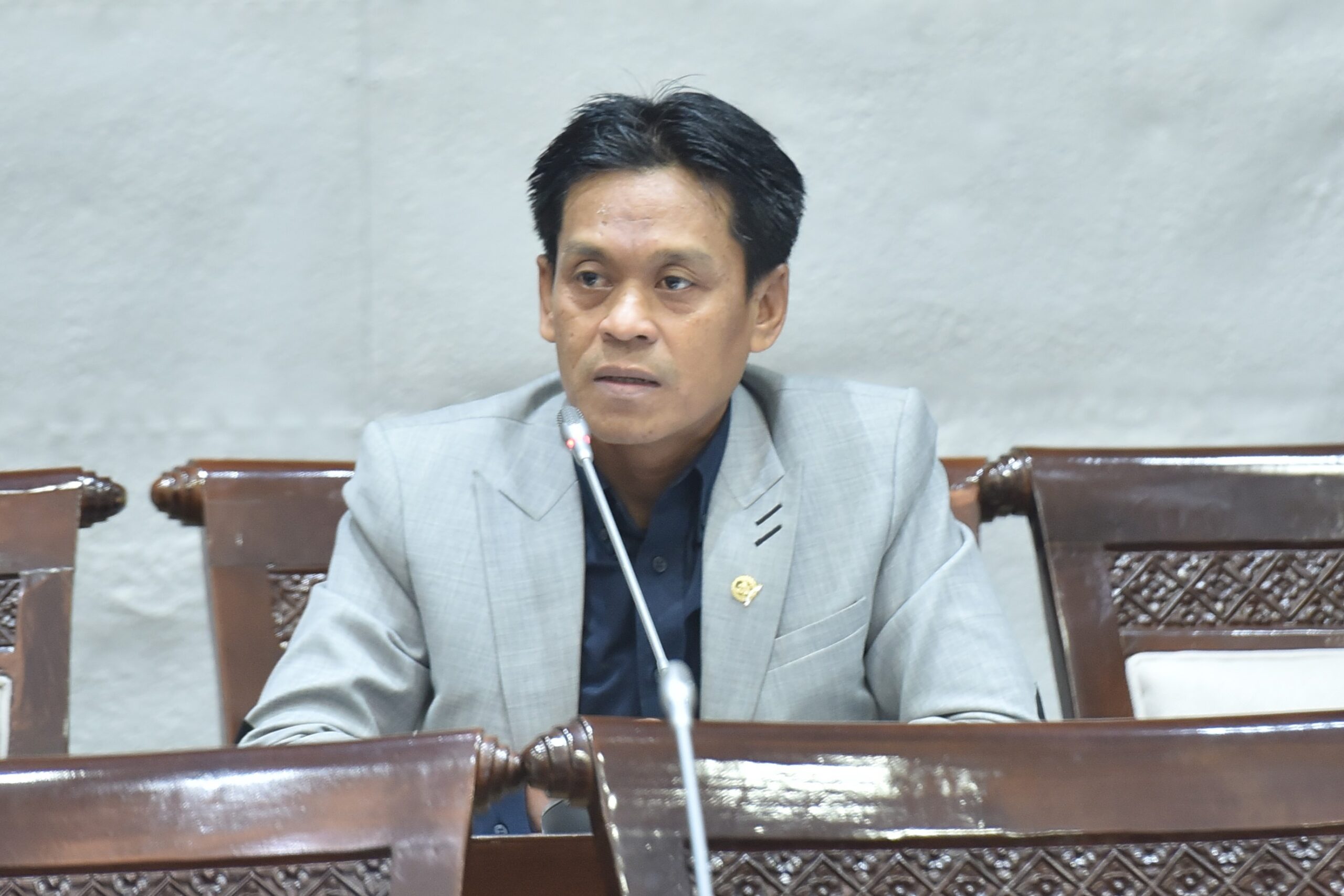 Didik Haryadi