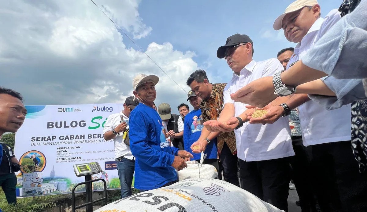 Wadirut Bulog minta petani jaga kualitas gabah agar pengolahan cepat