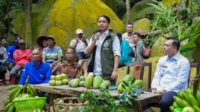 dd2e82de-7410-4361-9850-be38c53fe0ac.jpeg Menhut segel 29 bangunan ilegal di kawasan hulu DAS Bekasi