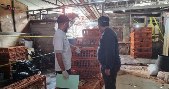 Polisi Amankan Praktik Curang Penjual Ayam Gelondongan Demi Mendapatkan Keuntungan
