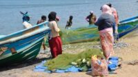 Perubahan Iklim Turunkan Hasil Tangkapan Ikan Nelayan