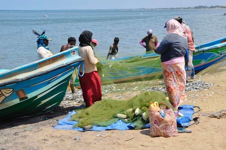 Perubahan Iklim Turunkan Hasil Tangkapan Ikan Nelayan