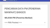 Begini Cara Cek Status Penerima Bansos Ibu Hamil