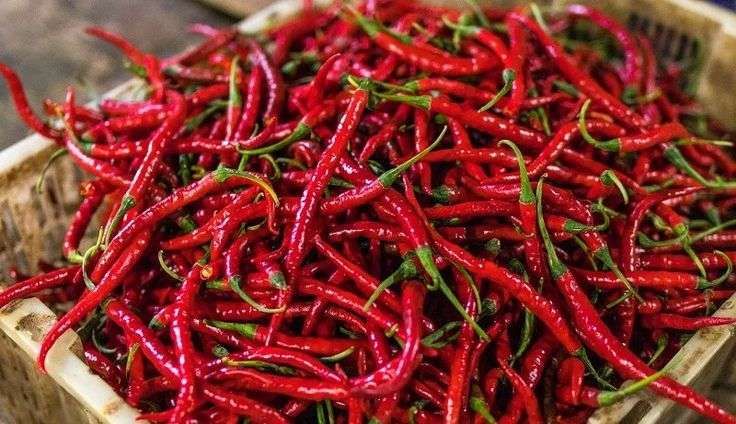 Pemerhati Soroti Harga Cabai Usai Perayaan Idulfitri