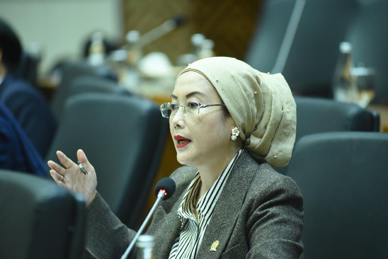 Bahas RUU Statistik, Selly Pertanyakan Potensi Superbody BPS Kelola Data