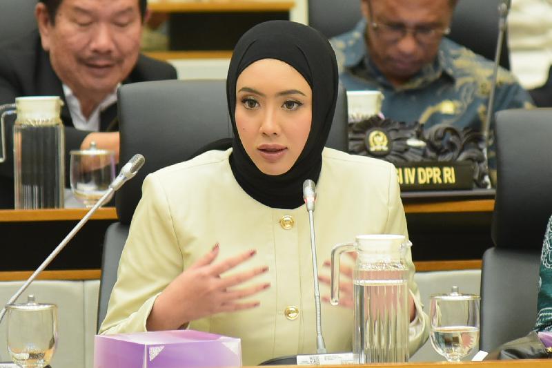 Program Pinjaman Hibah Luar Negeri KKP Perlu Konsultasi Publik Dahulu Sebelum Disetujui