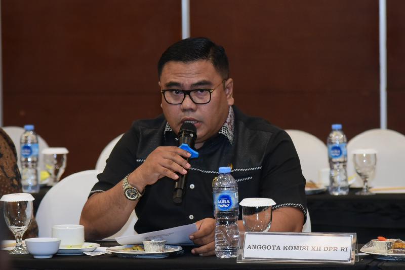 Rico Alviano: Perusahaan Tambang di Kalteng Wajib Bayar Royalti Sesuai Aturan