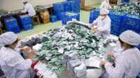 China luncurkan layanan pengaduan berantas penipuan asuransi kesehatan