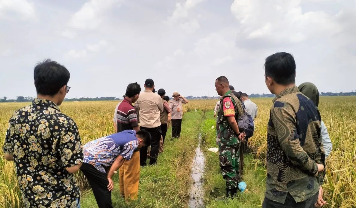 Kementan kunjungi sawah dan beri penyuluhan petani di Sukakarya Bekasi