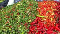 Harga pangan pada Sabtu, cabai rawit merah Rp91.500/kg