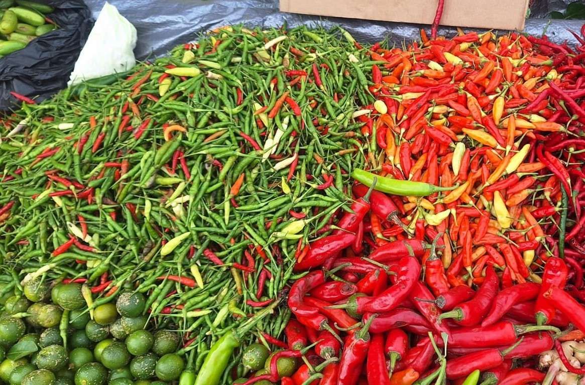 Harga Cabai di Sekayam Entikong Semakin Pedas