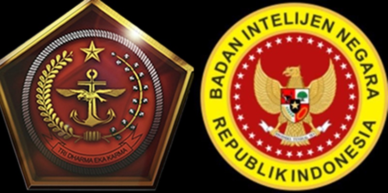 Pengamat : Penggabungan BAIS-BIN Bisa Pangkas Anggaran