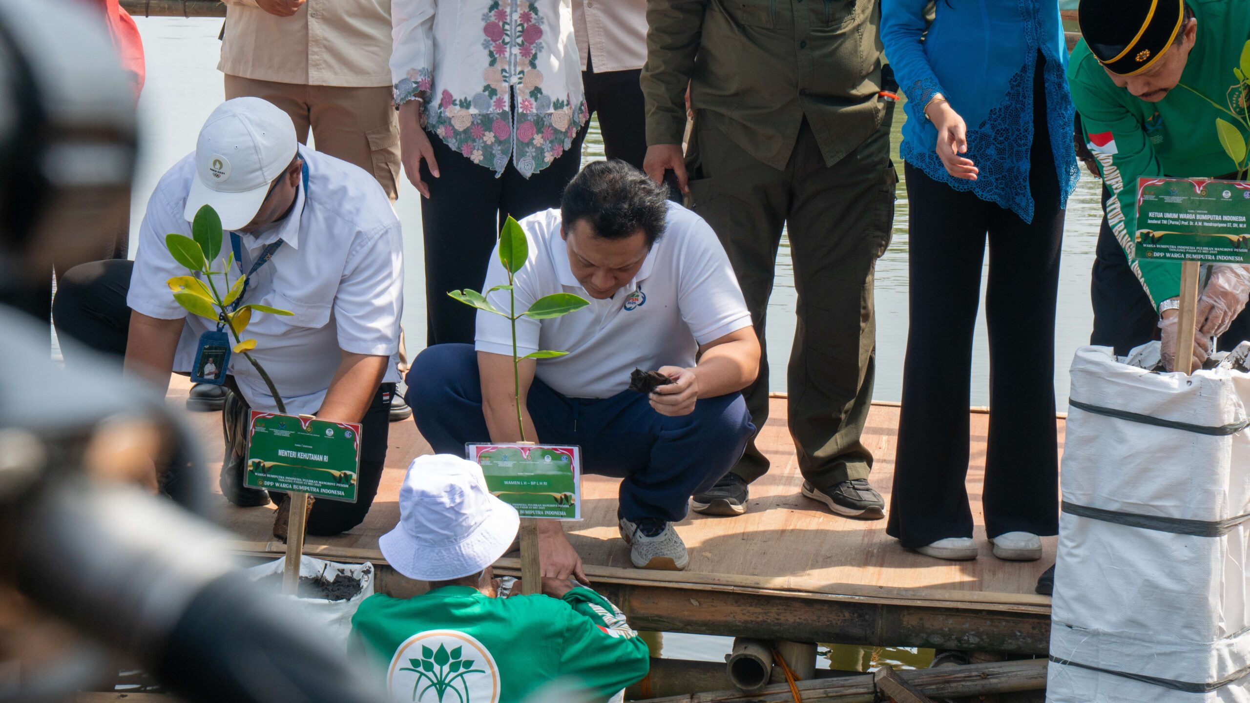 Wamen LH: Tanam Mangrove Dapat Perkuat Ekosistem Pesisir