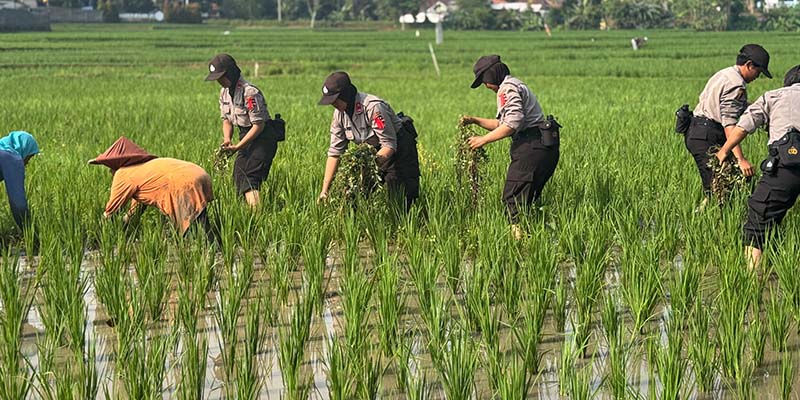 Inovasi Pelatihan Siswa Polwan 2025: Dari Pengabdian Desa hingga SPPG Polri