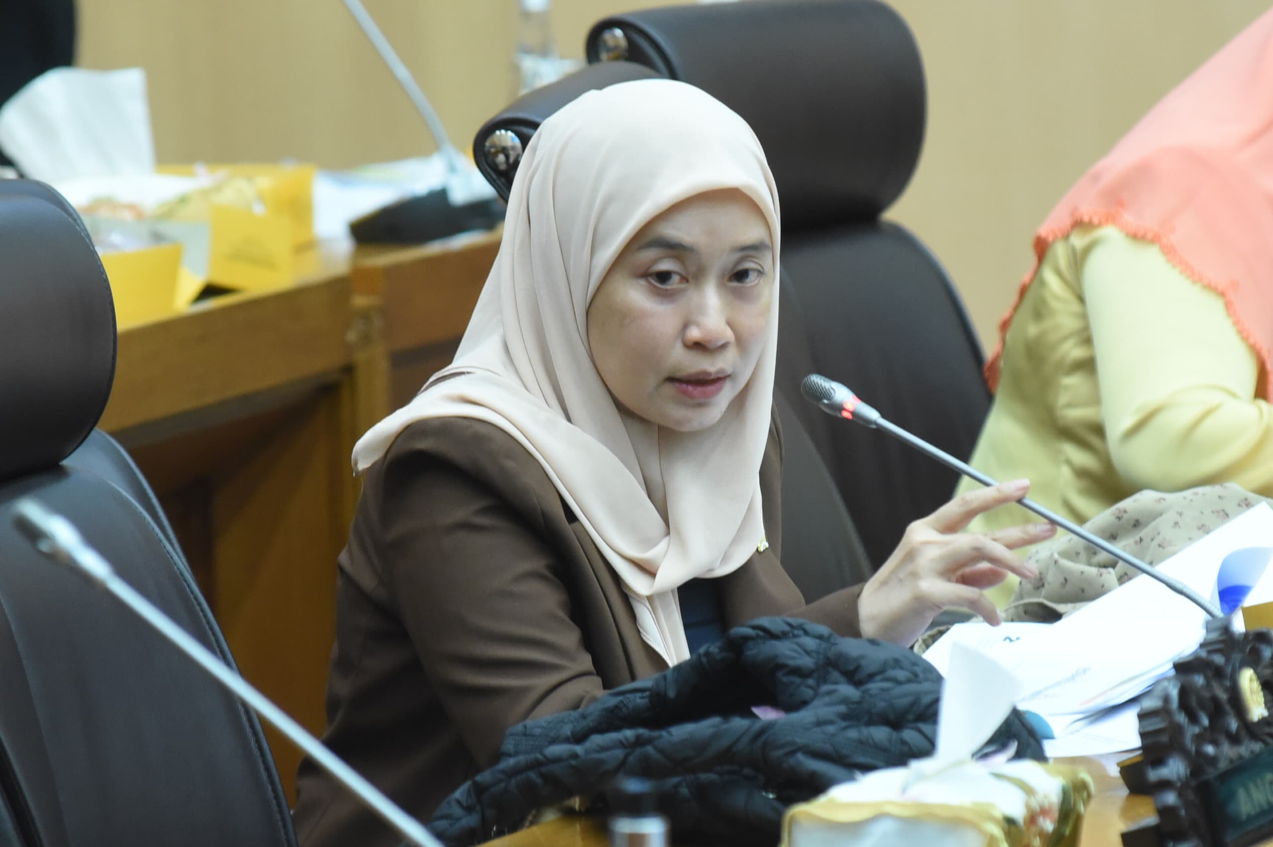 Dewi Yustisiana Dorong KLH Harmonisasi Kebijakan Lintas Sektor Atasi Pencemaran Udara