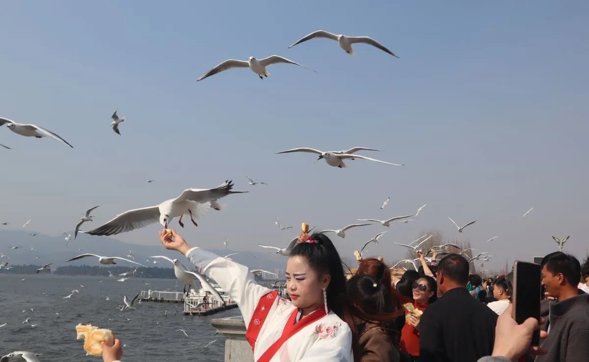 China harapkan kekayaan budaya, alam Yunnan dorong jumlah wisatawan RI