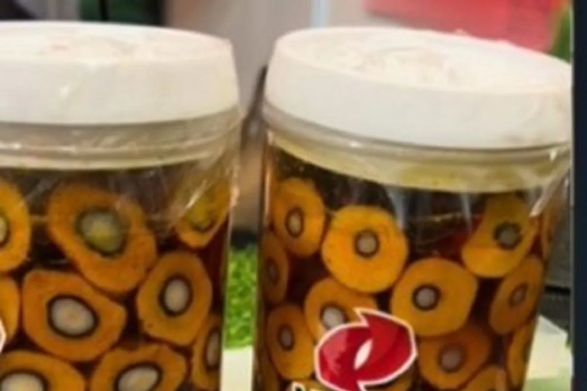 PT Aneka Sawit Lestari kenalkan benih unggul sawit DxP iCalix