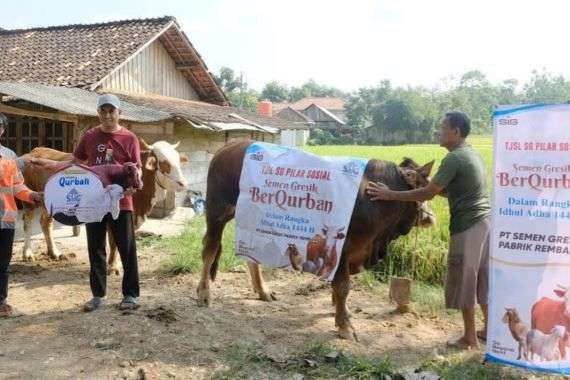 Tahun ini, Semen Indonesia Sebar 237 Hewan Kurban