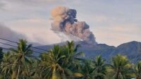Gunung Dukono Alami Erupsi Dengan Letusan 800 Meter