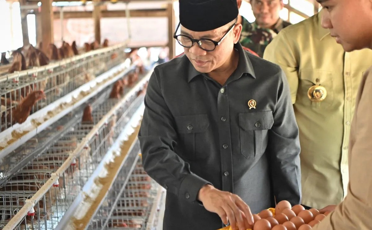 Mendes nilai Desa Kaliwedi layak jadi contoh pemanfaatan dana desa