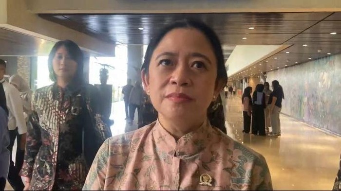 Puan Minta Komisi di DPR Kawal Tuntas Isu Praktik Beras Oplosan