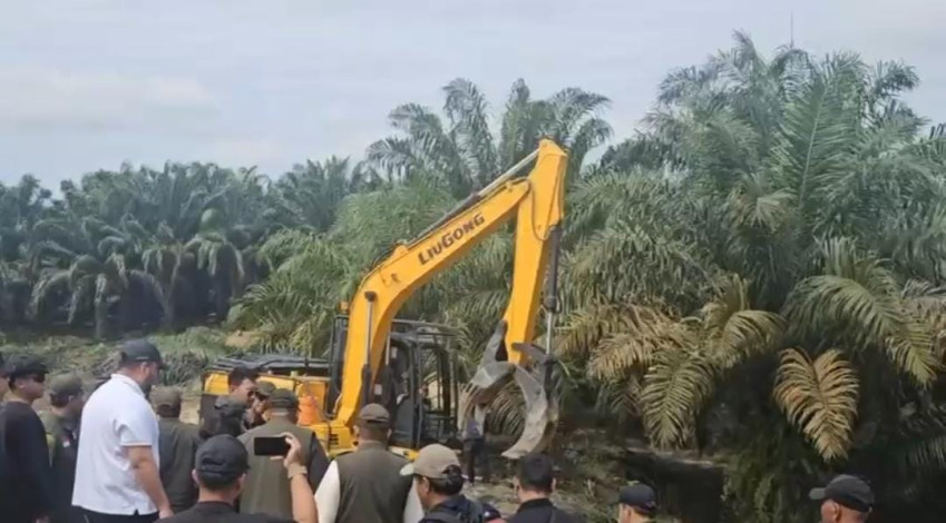 Menteri Nusron cabut sertifikat perkebunan sawit di TN Tesso Nilo