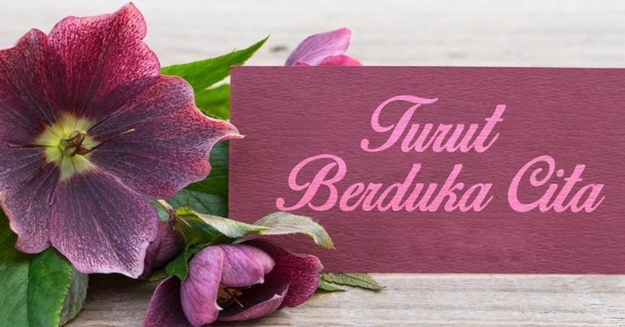 Mahasiswa RI di Belanda Meninggal Diduga Saat Dampingi Pejabat ke Austria