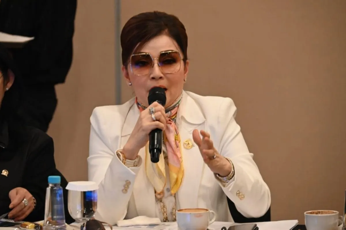 Anggota DPR: SDM unggul jadi pilar efektivitas transformasi BP BUMN