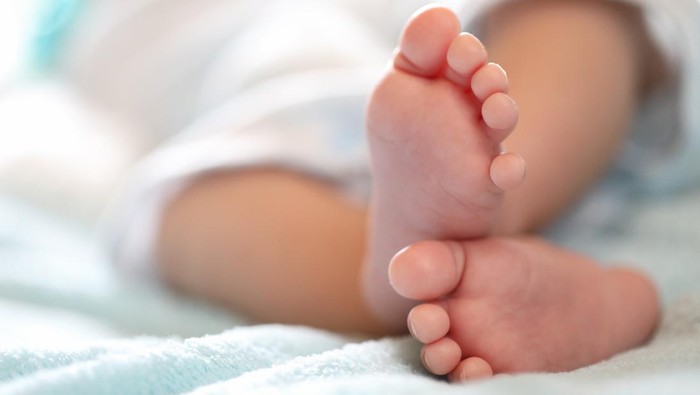 Bocil di Bogor Temukan Bayi Dibungkus Kain di Perkebunan Megamendung