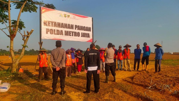 Polda Metro Siapkan Lahan 25 Hektare di Cikarang untuk Tanam Jagung