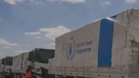 Bantuan ke Gaza Tersendat, Baru 986 Truk Masuk Sejak Gencatan Senjata