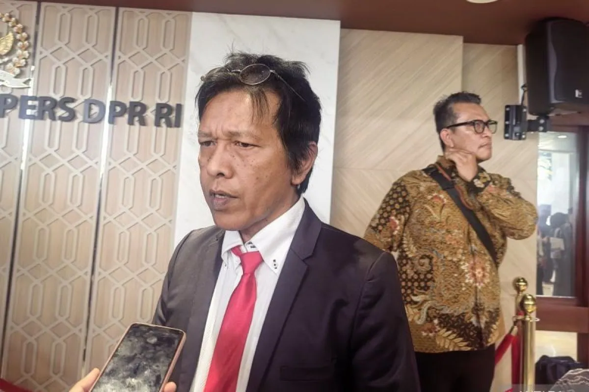 Wakil Ketua Badan Aspirasi Masyarakat (BAM) DPR RI Adian Napitupulu