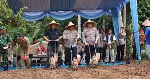 Dampingi Wapres dan Kapolri Tanam Jagung, Gubernur Andra Soni Tegaskan Pangan Banten Surplus