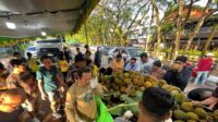 Legislator Ungkap Durian Ilegal Malaysia Marak di Indonesia