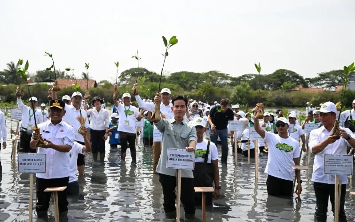 Wakil Presiden (Wapres) Gibran Rakabuming Raka (tengah) menanam bibit bakau di Taman Mangrove, Ketapang, Kabupaten Tangerang, Senin (27/10/2025