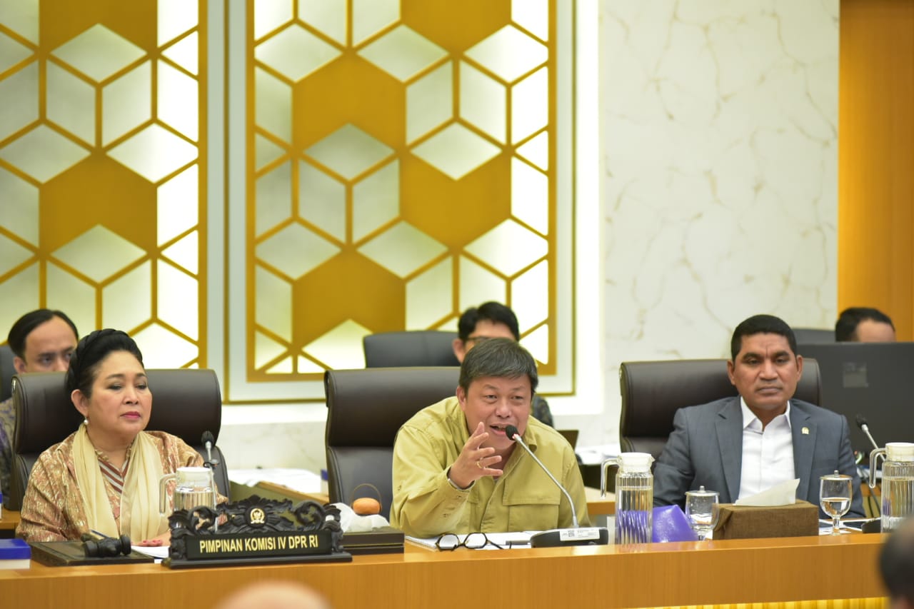 Komisi IV DPR Minta Pemda Sumbar Percepat Pendataan Dampak Banjir