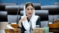 Anggota Komisi VII DPR RI, Novita Hardini