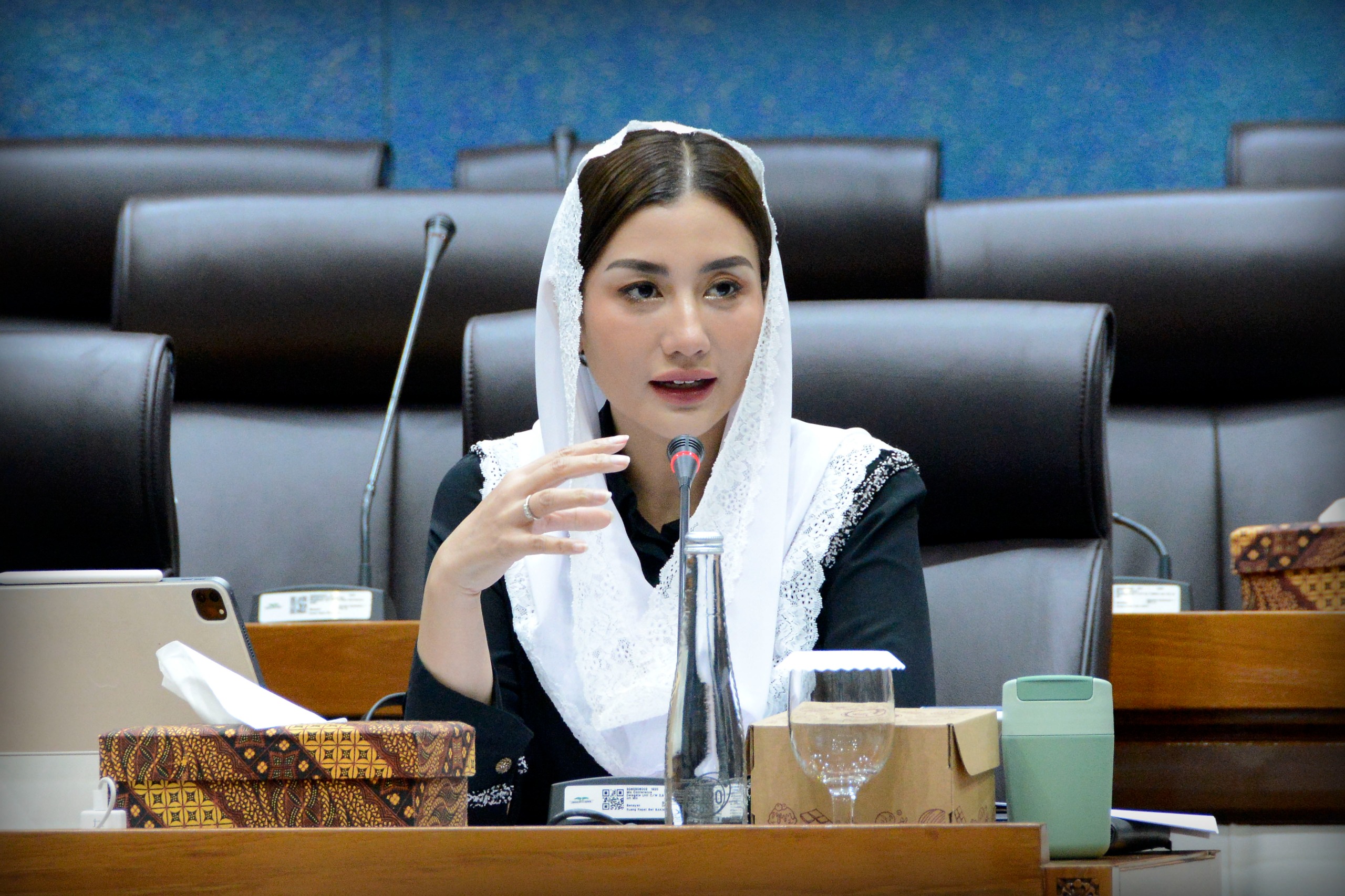 Anggota Komisi VII DPR RI, Novita Hardini