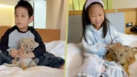 Viral! Hotel di Cina Gunakan Anak Singa untuk Bangunkan Tamu