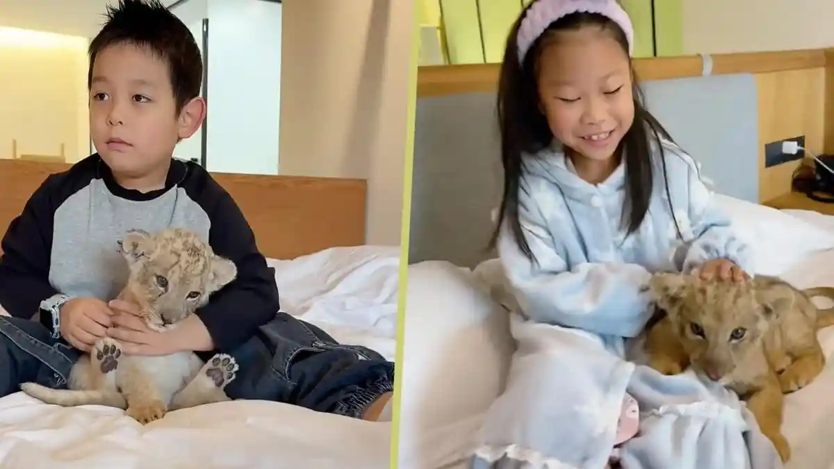 Viral! Hotel di Cina Gunakan Anak Singa untuk Bangunkan Tamu