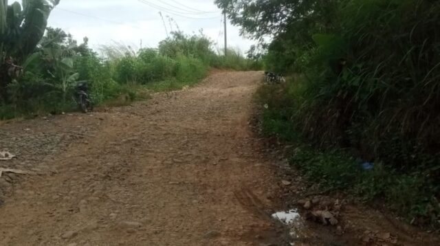 Jalan Sipiongot–Hutaimbaru Rusak Parah, Warga Minta Pemerintah Segera Bertindak