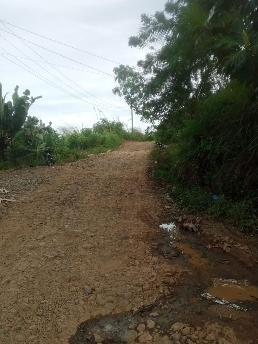 Jalan Sipiongot–Hutaimbaru Rusak Parah, Warga Minta Pemerintah Segera Bertindak