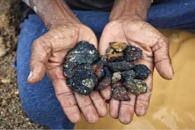 PT Timah Bidik Komersialisasi Logam Tanah Jarang pada 2028