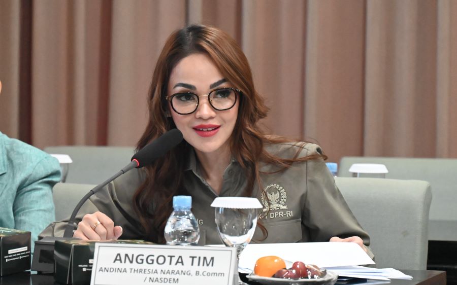 Legislator Minta Pemerintah Perkuat Perlindungan Data dan Narasi